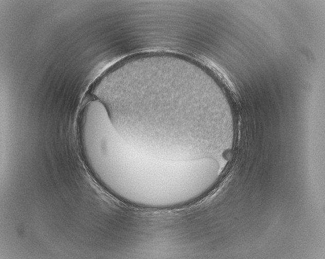 X0000115210876200911181526