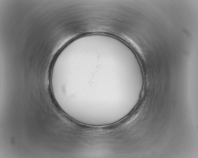 X0000115210885200911181526