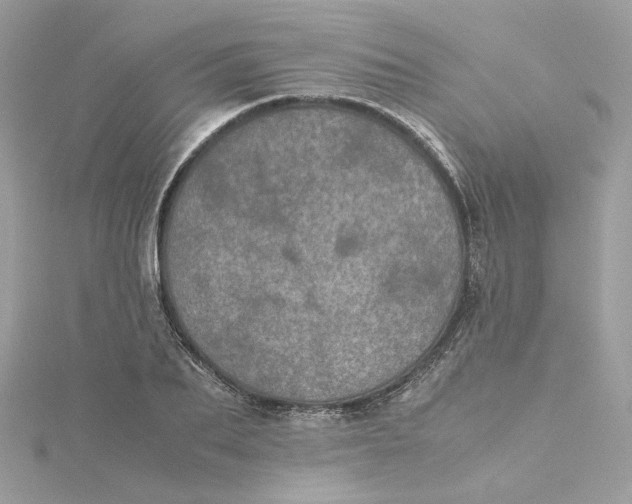 X0000115210887200911181526