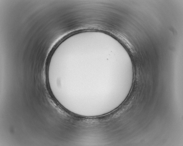 X0000115210888200911181526