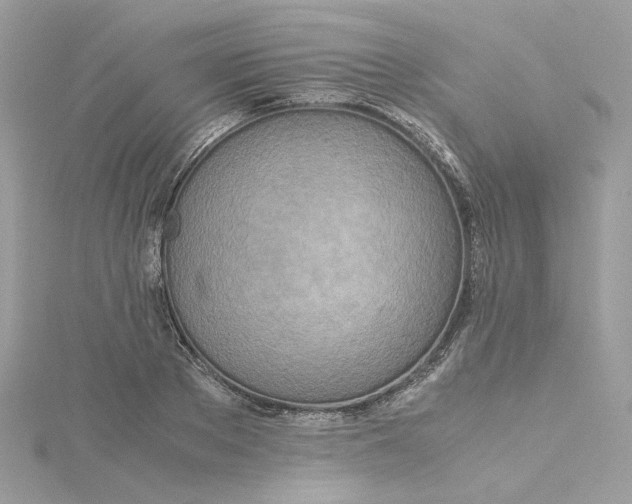 X0000115210889200911181526