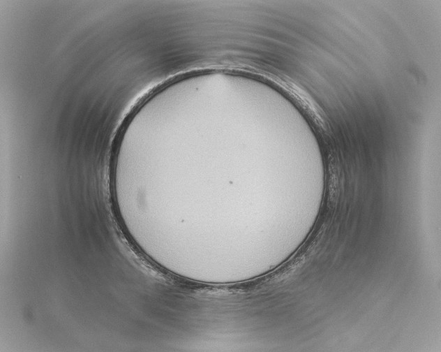 X0000115210896200911181526