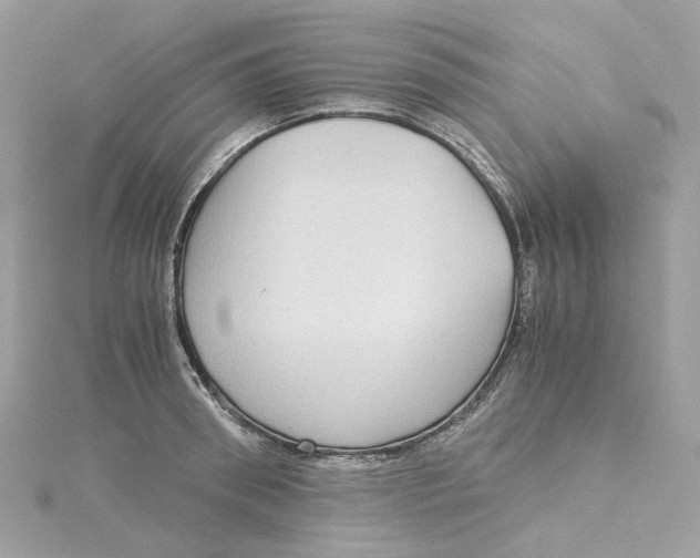 X0000115210898200911181526