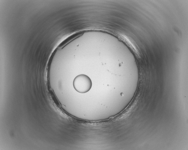 X0000115210900200911181526