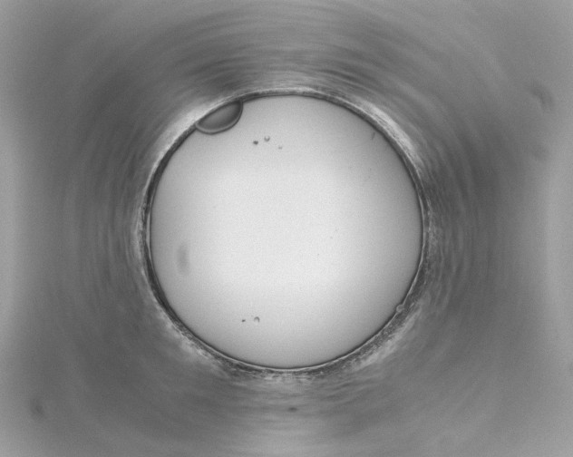 X0000115210901200911181526