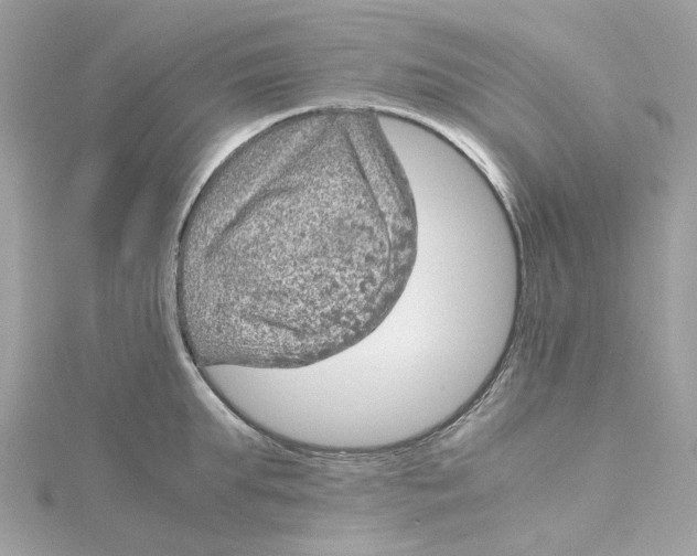 X0000115210903200911181526