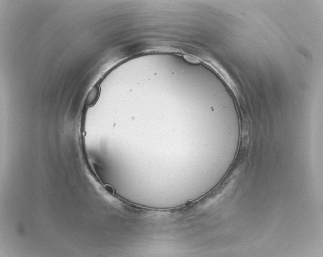 X0000115210909200911181526