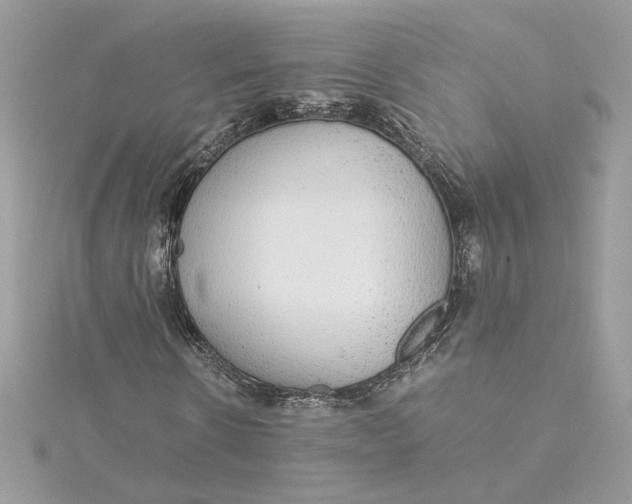 X0000115210914200911181525
