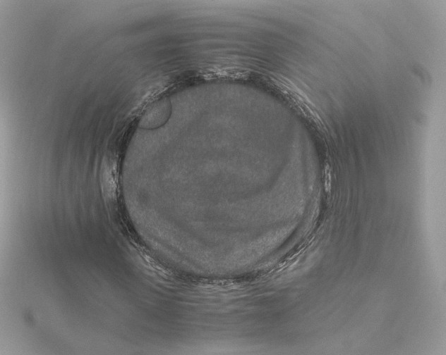 X0000115210915200911181525