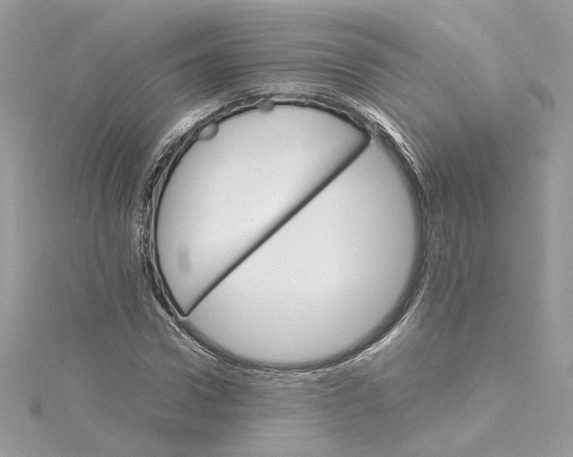X0000115210922200911181525
