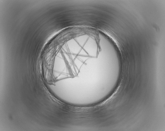 X0000115210925200911181525