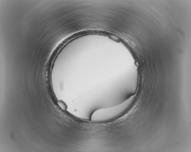 X0000115210926200911181525