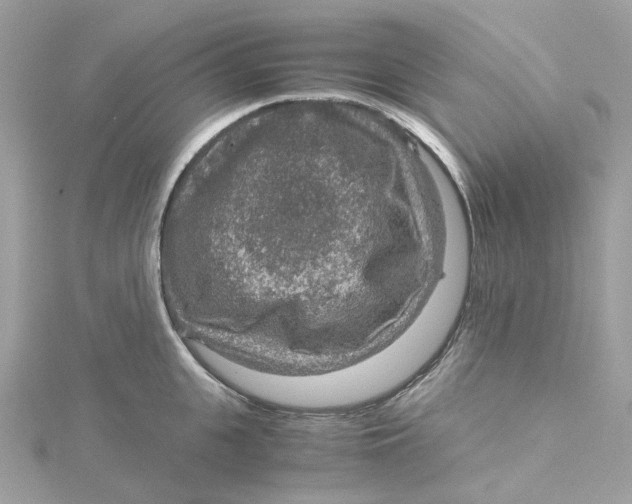 X0000115210951200911181526