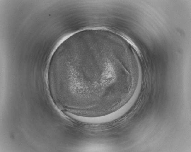 X0000115210959200911181526