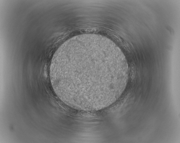 X0000115210962200911181525