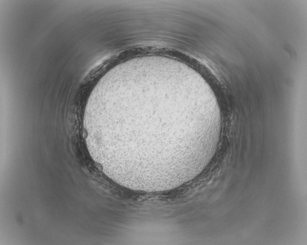 X0000115210967200911181525