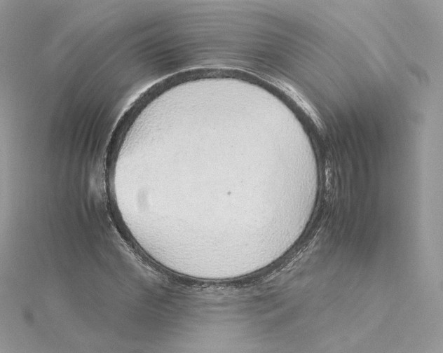 X0000115210972200911181525