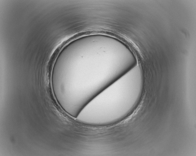 X0000115210973200911181525