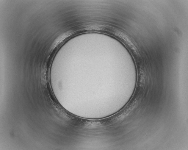 X0000115210978200911181525