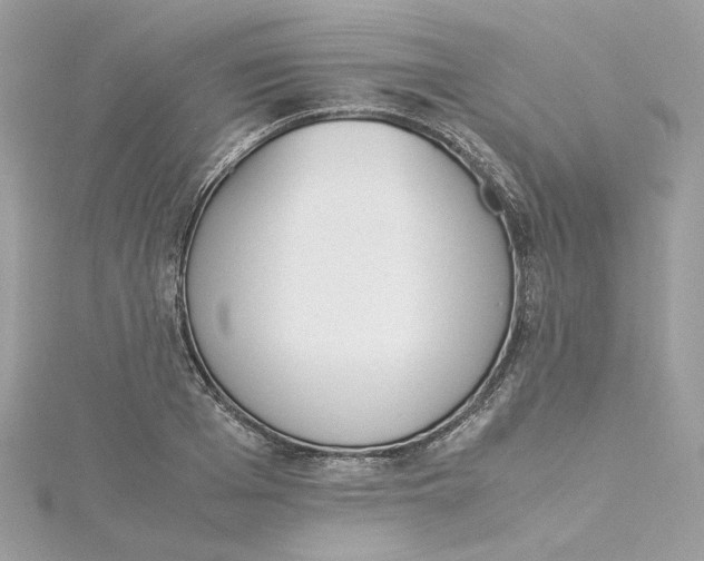 X0000115210985200911181525