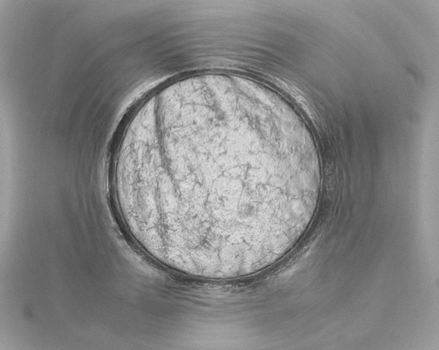 X0000115210987200911181525