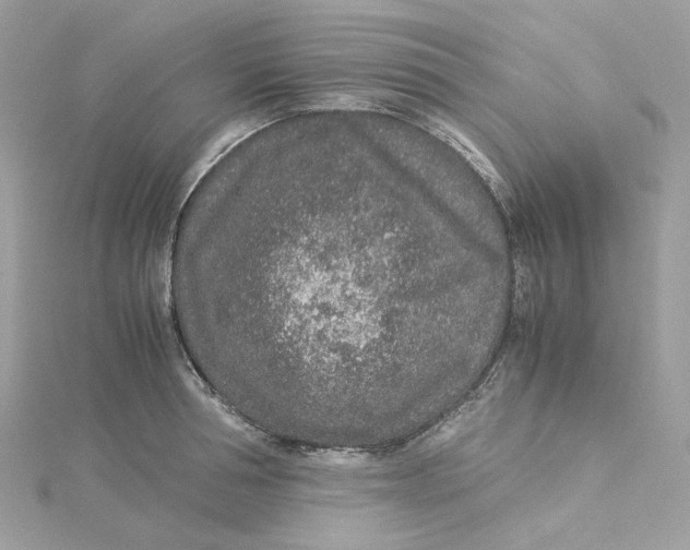 X0000115210994200911181525