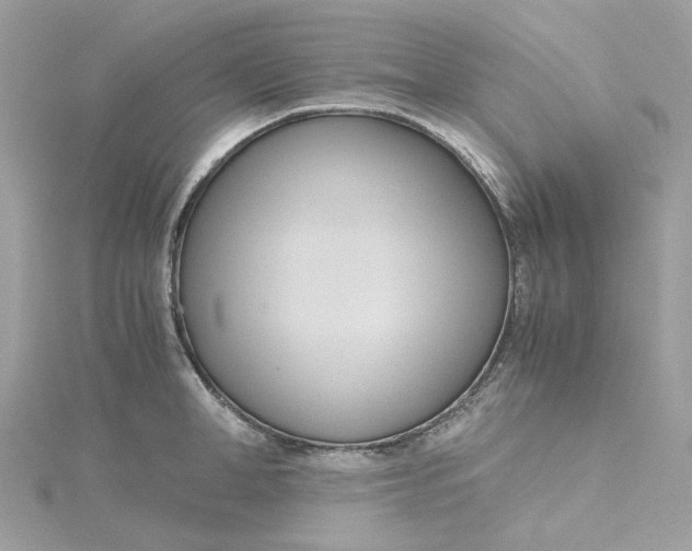 X0000115210998200911181525
