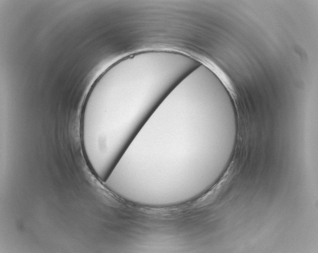 X0000115211004200911181524