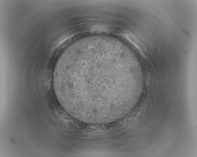 X0000115211015200911181524