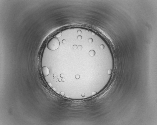 X0000115211021200911181524