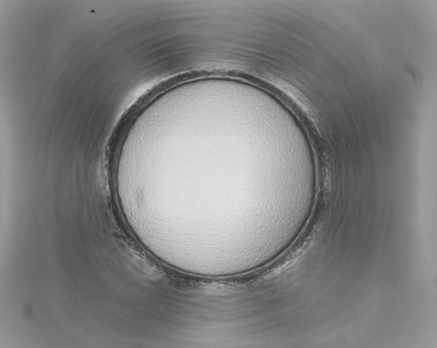 X0000115211022200911181524