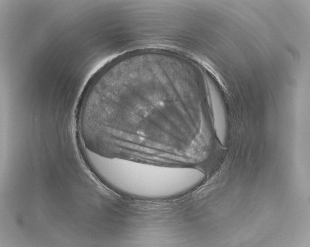 X0000115211024200911181524