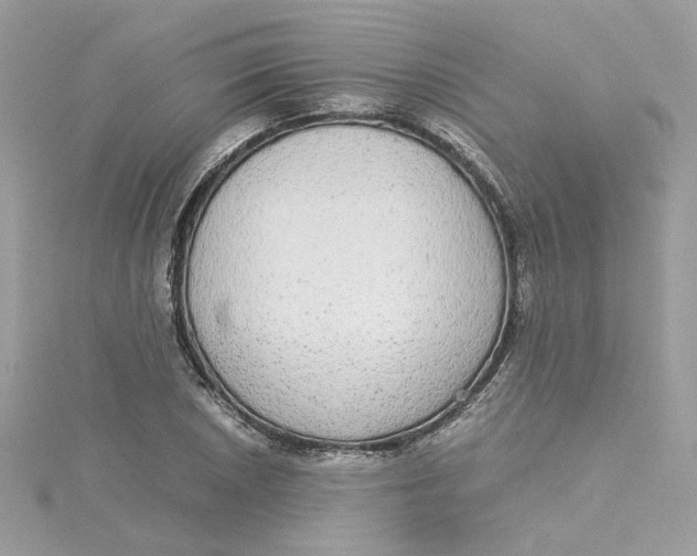 X0000115211026200911181524