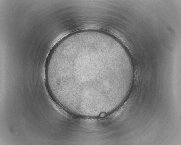 X0000115211034200911181524