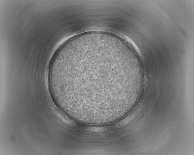 X0000115211035200911181524