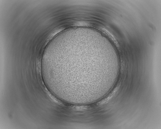 X0000115211041200911181524