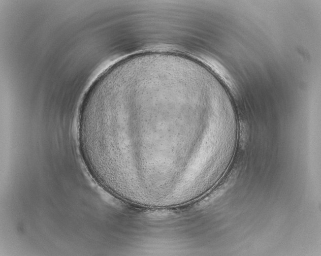 X0000115211046200911181524
