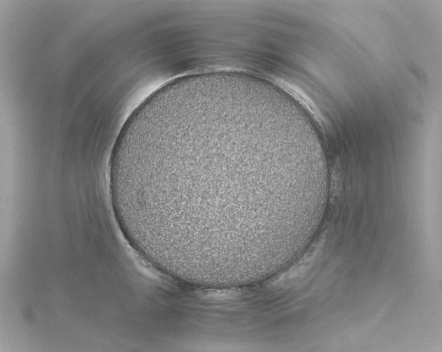 X0000115211047200911181524