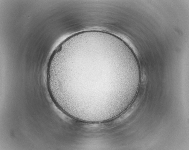 X0000115211054200911181524