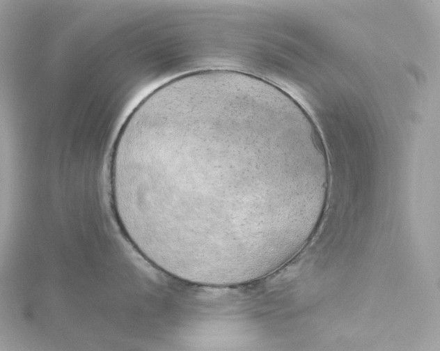 X0000115211056200911181524