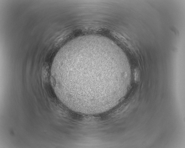 X0000115211059200911181524