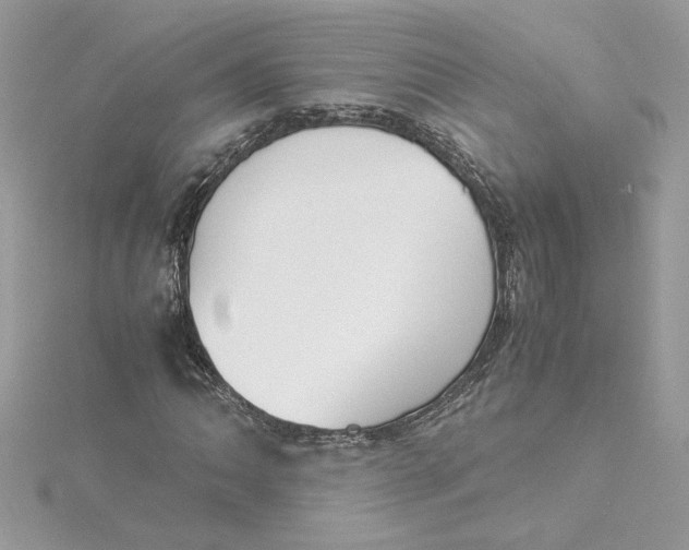 X0000115211062200911181524