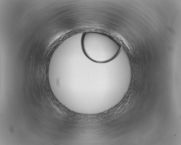 X0000115211064200911181524