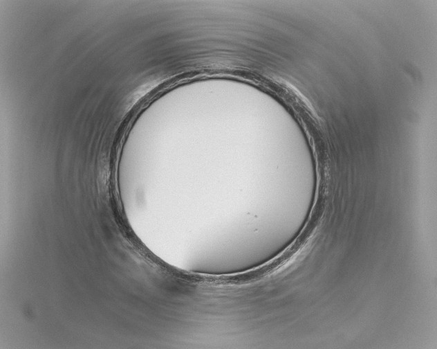 X0000115211065200911181524