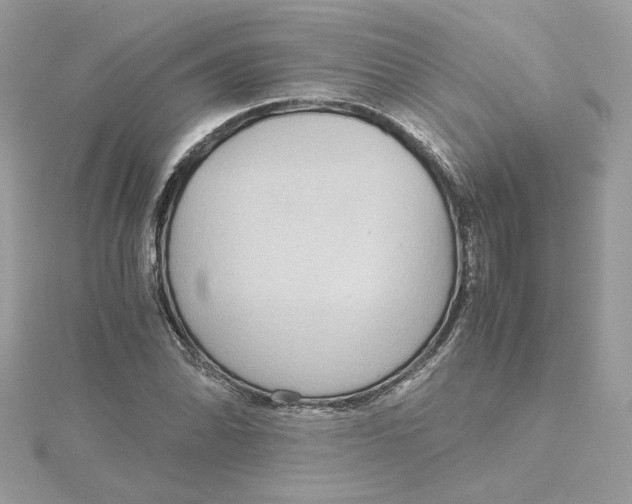 X0000115211070200911181524