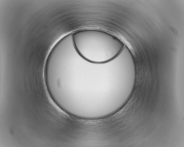 X0000115211084200911181523