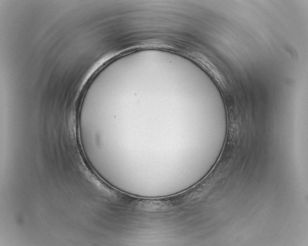 X0000115211092200911181523