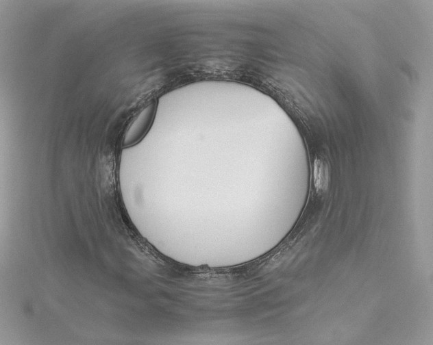 X0000115211107200911181523