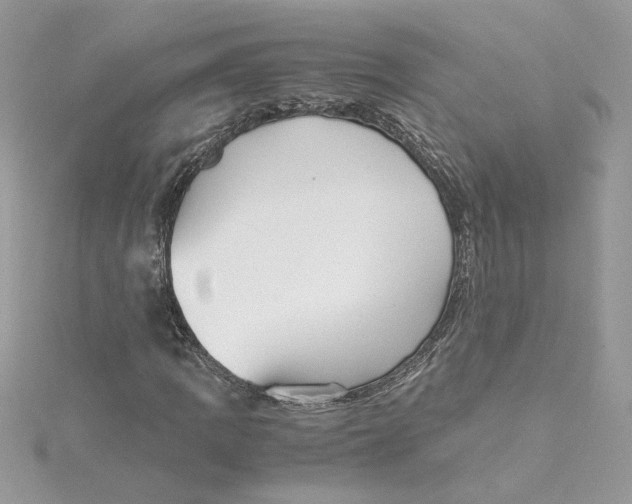 X0000115211109200911181523