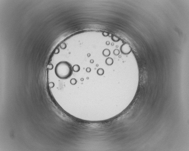 X0000115211130200911181523